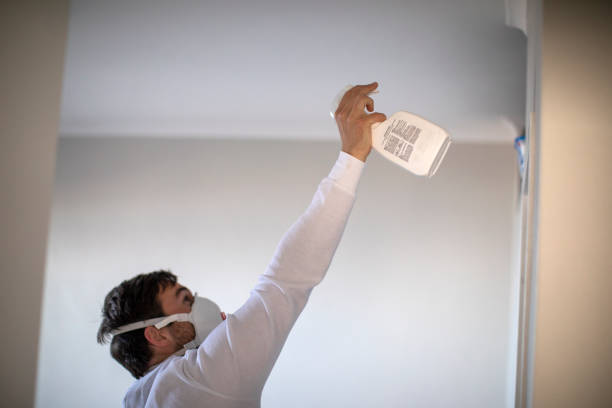 Best Black Mold Removal  in Margate City, NJ